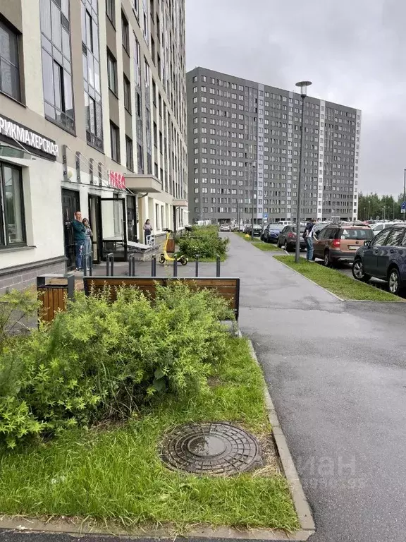 1-к кв. Санкт-Петербург пос. Парголово, дор. Михайловская, 14к1 (37.0 ... - Фото 1