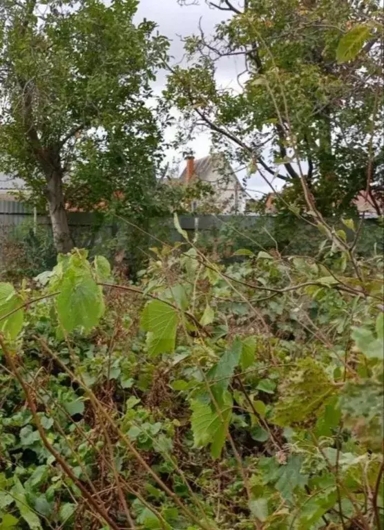 Участок в Краснодарский край, Анапа Солнечная ул. (6.0 сот.) - Фото 1