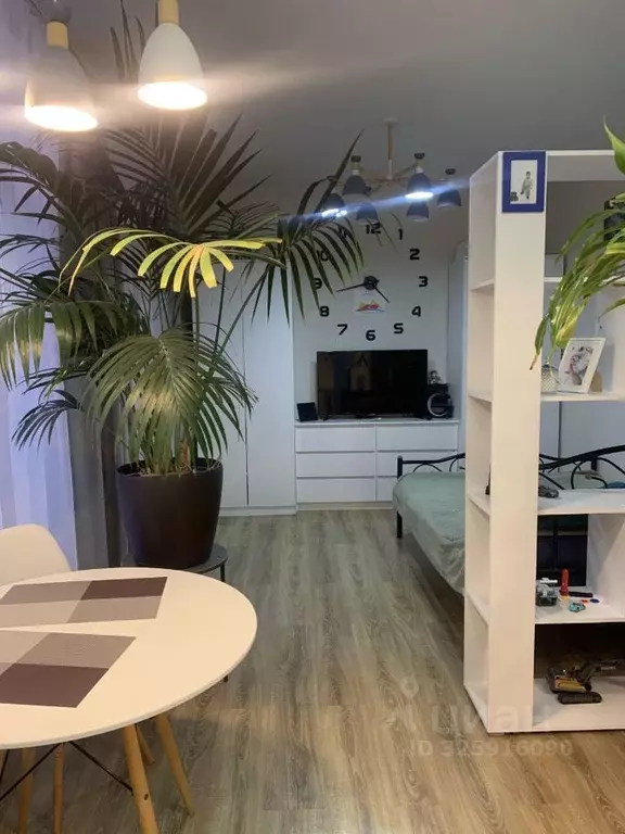 Студия Московская область, Ленинский городской округ, д. Жабкино, ... - Фото 1