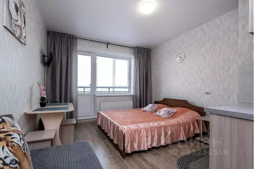 1-к кв. Новосибирская область, Новосибирск ул. Титова, 257 (24.0 м) - Фото 1