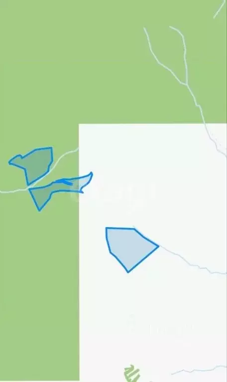 Участок в Алтайский край, Алтайский район, с. Нижнекаянча ул. ... - Фото 1