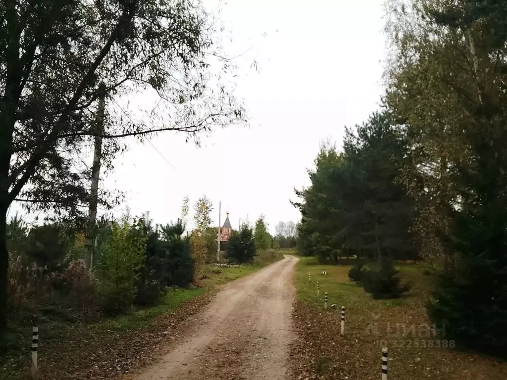 Участок в Калужская область, Дзержинский муниципальный округ, Дворцы ... - Фото 1