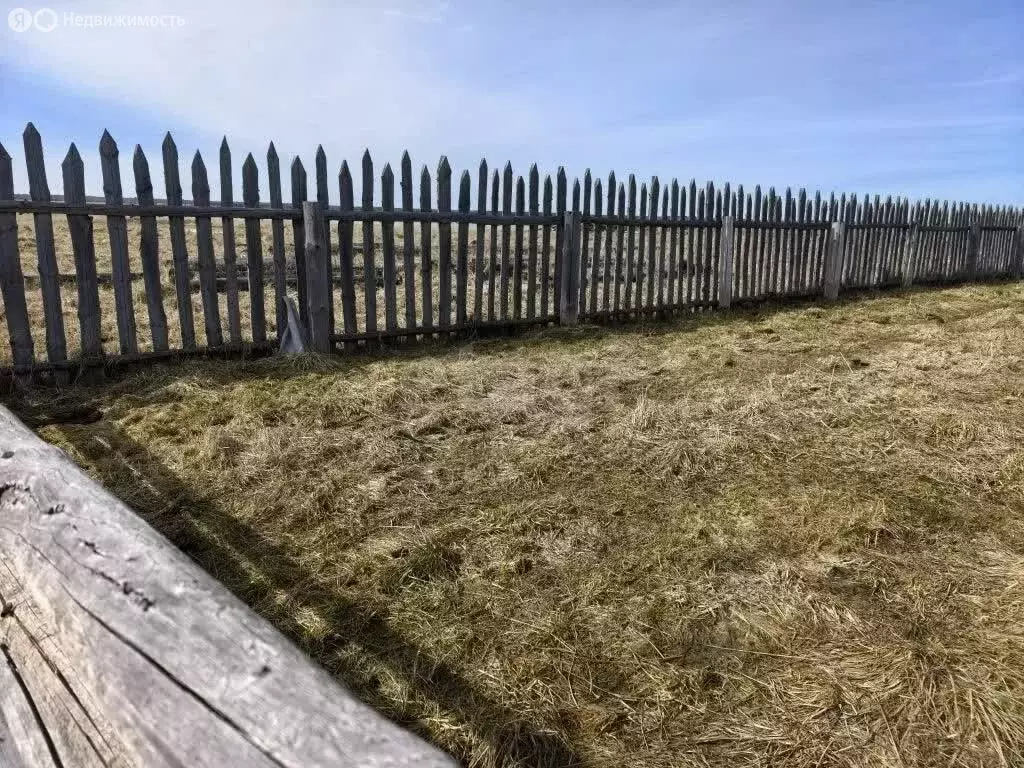 Участок в Курганская область, Юргамышский муниципальный округ, село ... - Фото 2