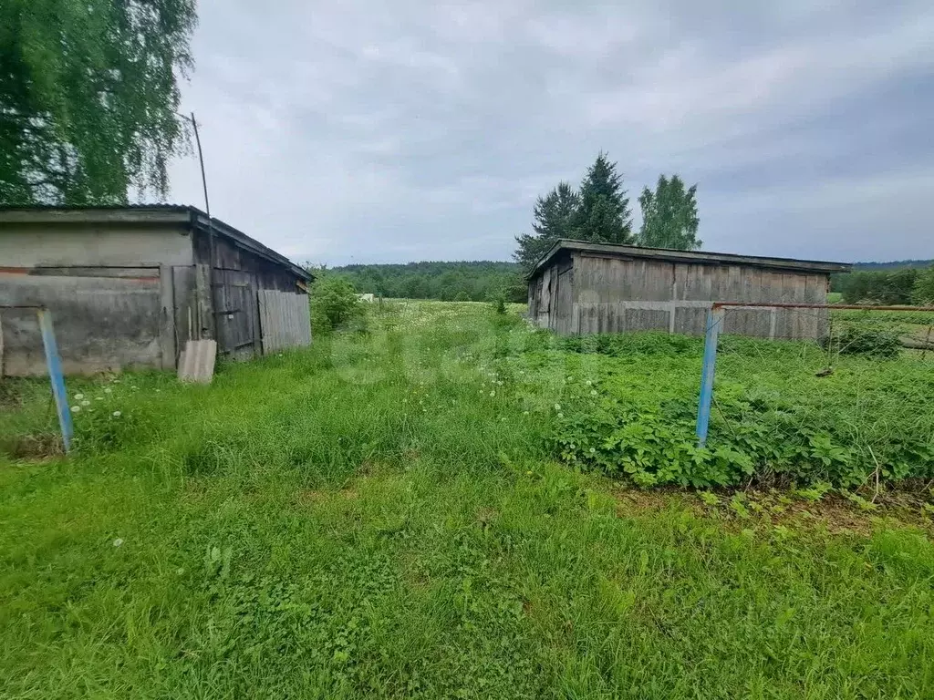 Участок в Вологодская область, Шекснинский муниципальный округ, ... - Фото 1