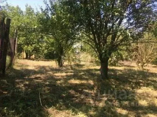 Участок в Ростовская область, Мясниковский район, Краснокрымское ... - Фото 1