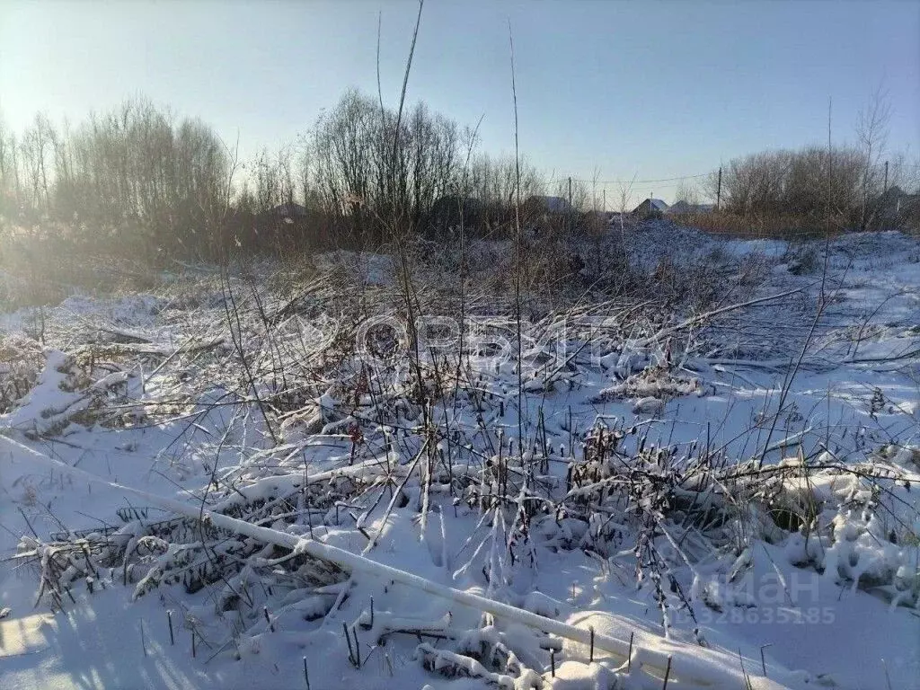 Участок в Тюменская область, Тюмень Садовое товарищество Липовый ... - Фото 1
