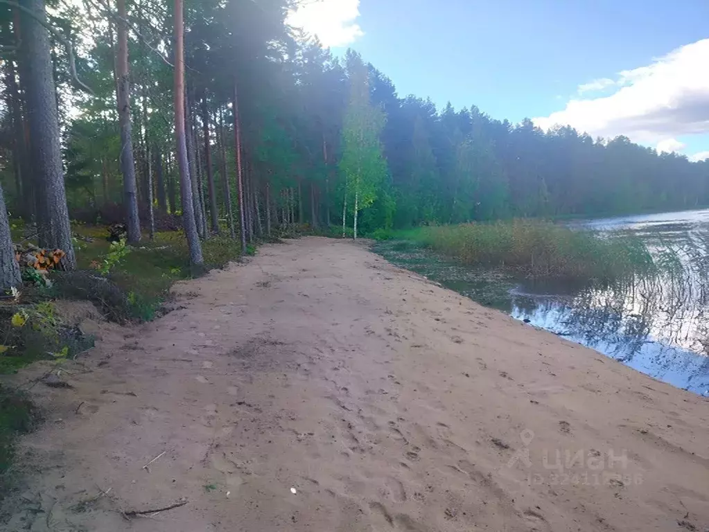 Дом в Карелия, Олонецкий район, Коверское с/пос, д. Нурмолицы  (42 м) - Фото 1