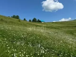 Участок в Алтай, Майминский район, с. Кызыл-Озек ул. Дорожников, 37 ... - Фото 1