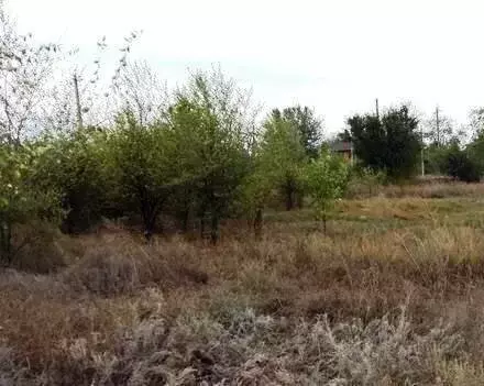 Участок в Каменск-Шахтинский, улица Газовиков (6 м) - Фото 0