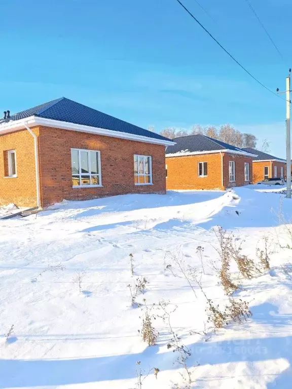 Дом в Омская область, Омский район муниципальный округ, с. Пушкино ул. ... - Фото 1
