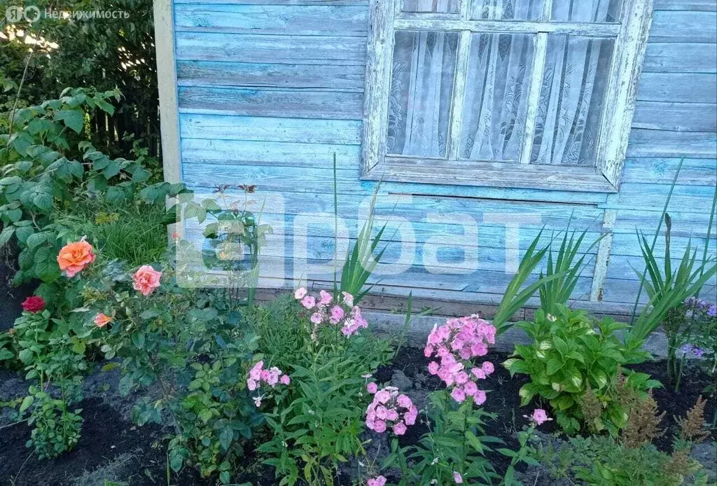 Дом в Костромская область, Буй (15 м) - Фото 0