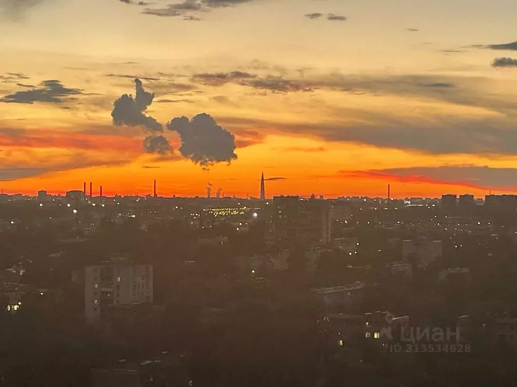 1-к кв. Санкт-Петербург просп. Александровской фермы, 8 (39.2 м) - Фото 1