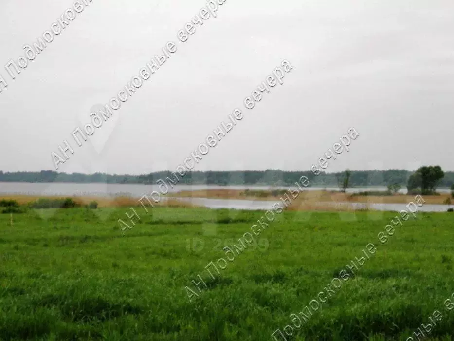 рыболовная база деревня савино яуза смоленская область. елена литвинова партизанка. погода выродово смоленская. сабурово деревня гагаринский район. маяк толбухин.