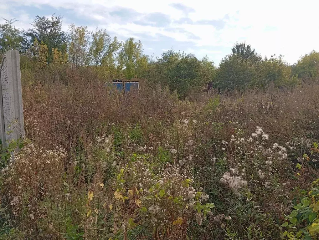 Участок в Белгородская область, Старый Оскол Разлив садовые участки, ... - Фото 1