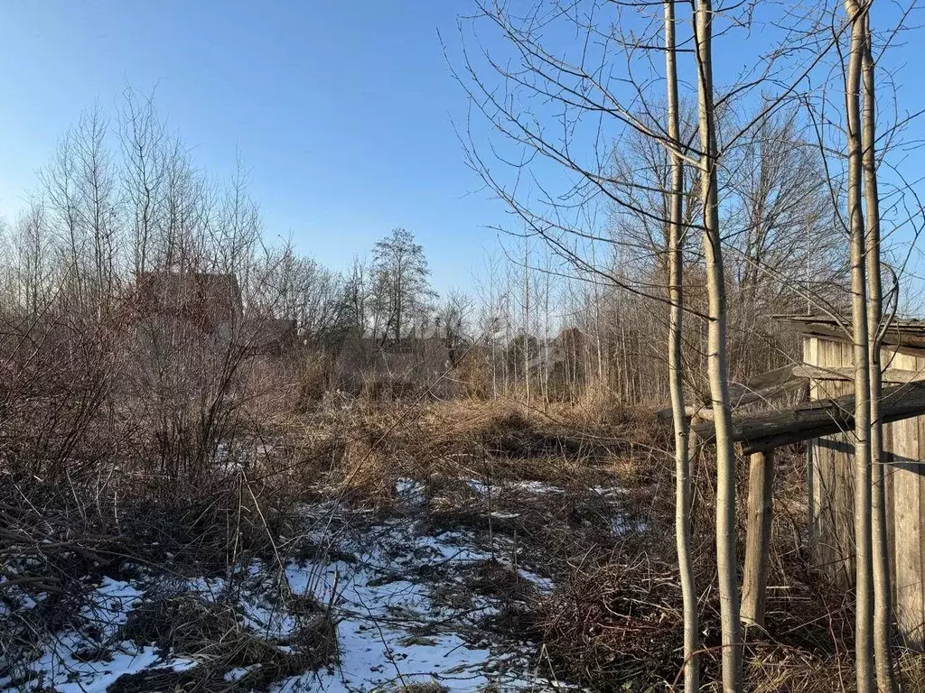 Участок 10,5 сот. (СНТ, ДНП) - Фото 0