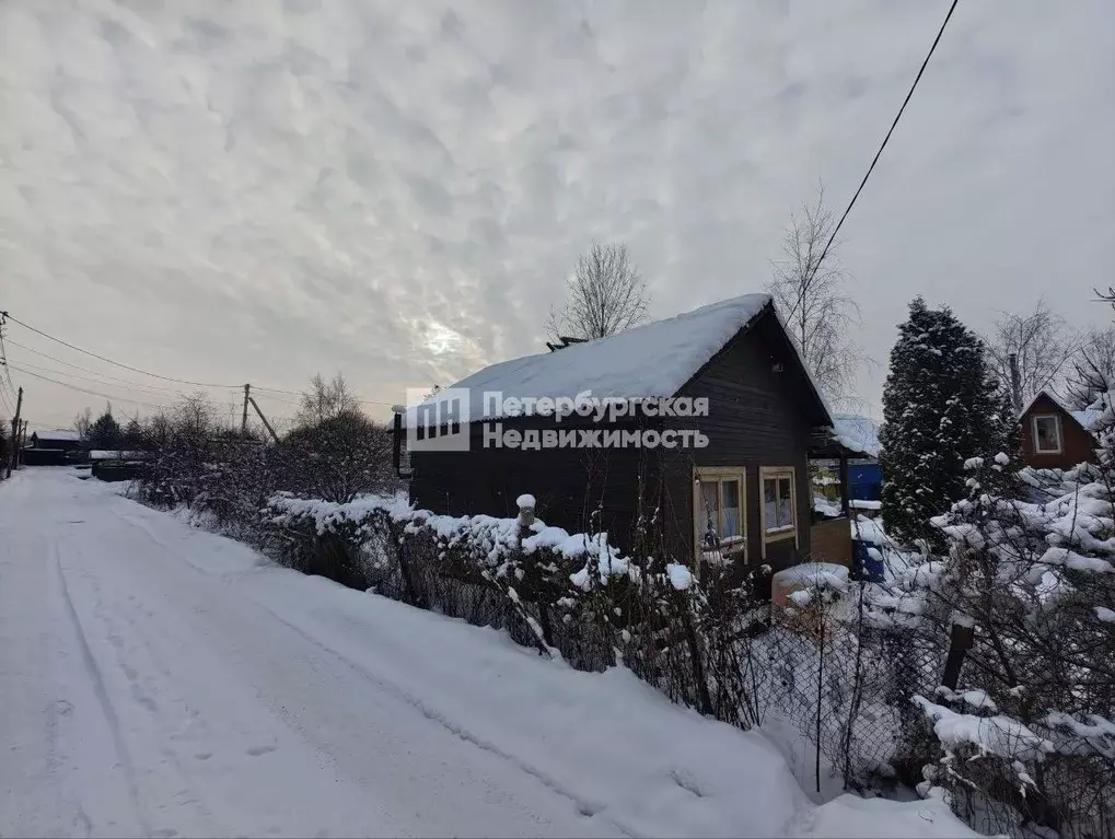 Участок в Санкт-Петербург, Санкт-Петербург, Сестрорецк Разлив СНТ, ... - Фото 1