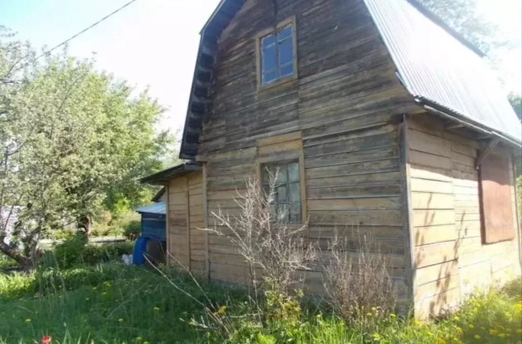 Участок в Ивановская область, Шуя № 23 садоводческое товарищество,  ... - Фото 1