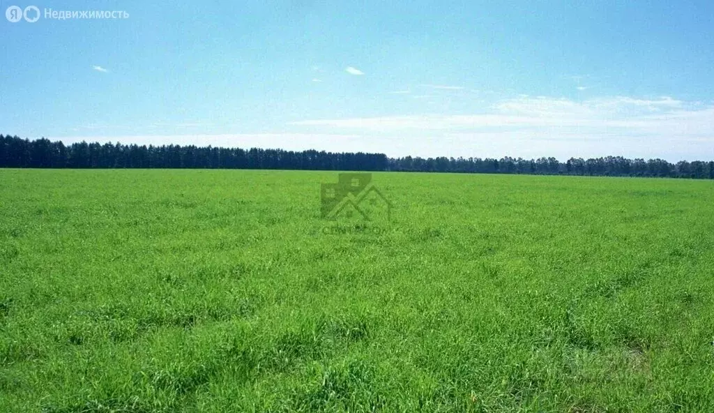 Участок в село Шапши, Цветочная улица, 26 (10 м) - Фото 1