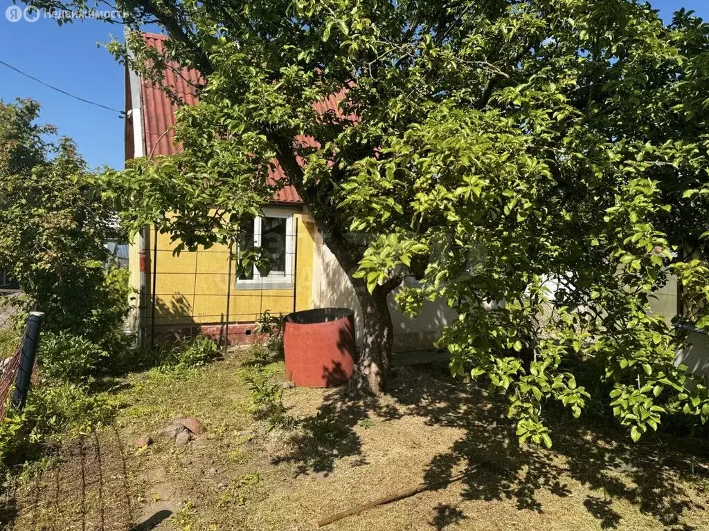 Участок в Калининград, СНТ Дружба-2, Земляничный проезд, 38 (5.9 м) - Фото 0
