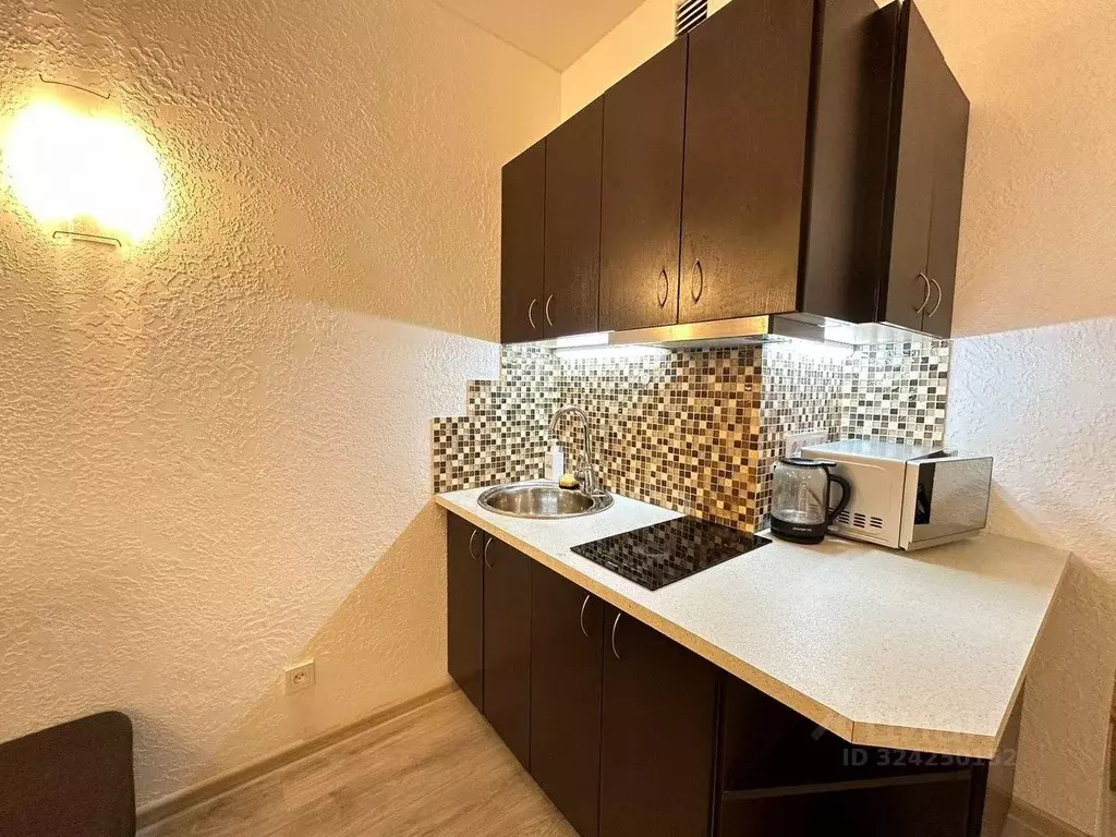 1-к кв. Нижегородская область, Нижний Новгород д. Афонино, ул. Красная ... - Фото 2