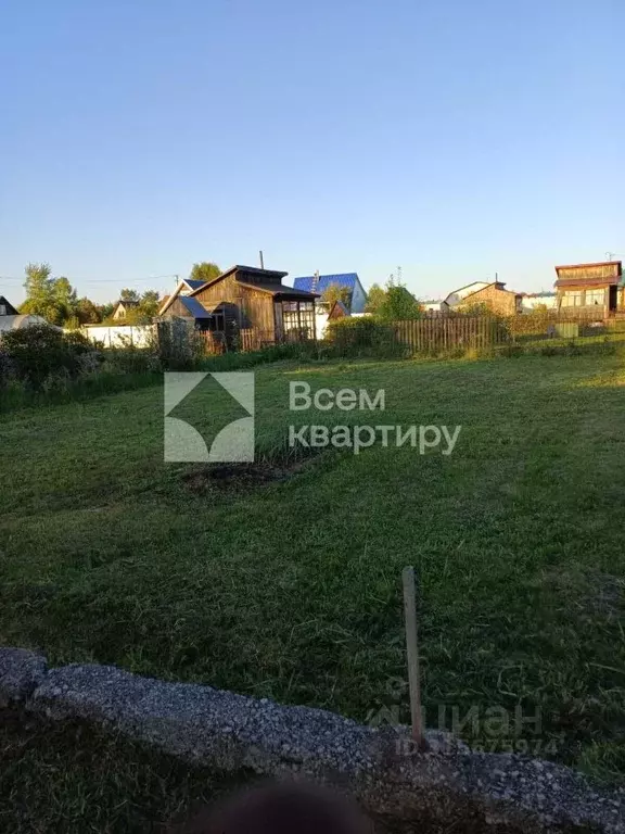 Участок в Новосибирская область, Колыванский район, Кедр СНТ ул. ... - Фото 0