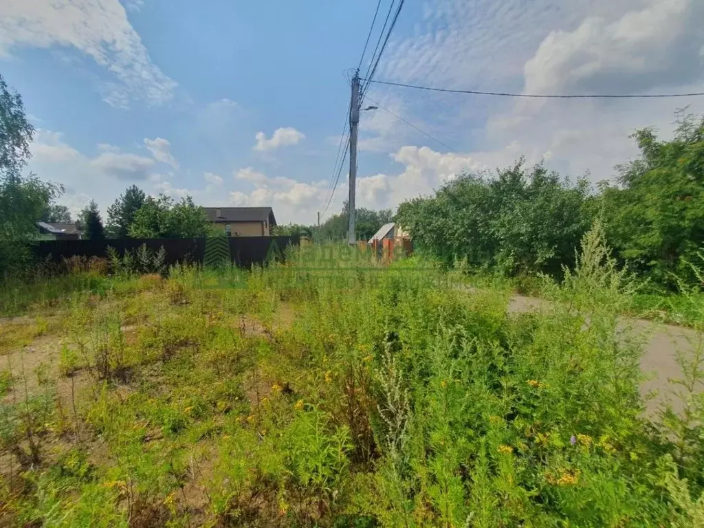 Участок в Саратовская область, Воскресенский район, Елшанское ... - Фото 2