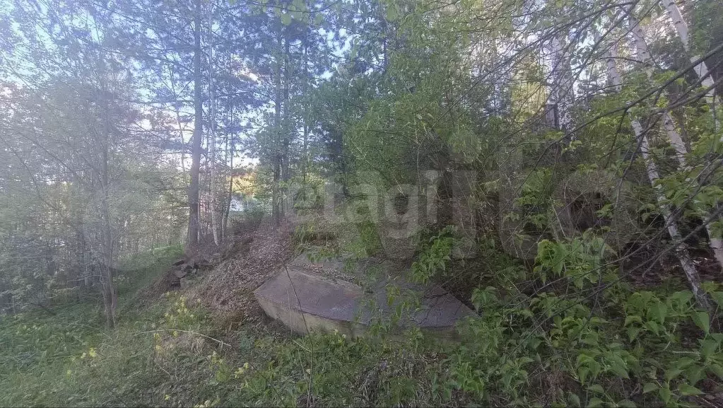 Участок 8 сот. (СНТ, ДНП) - Фото 0