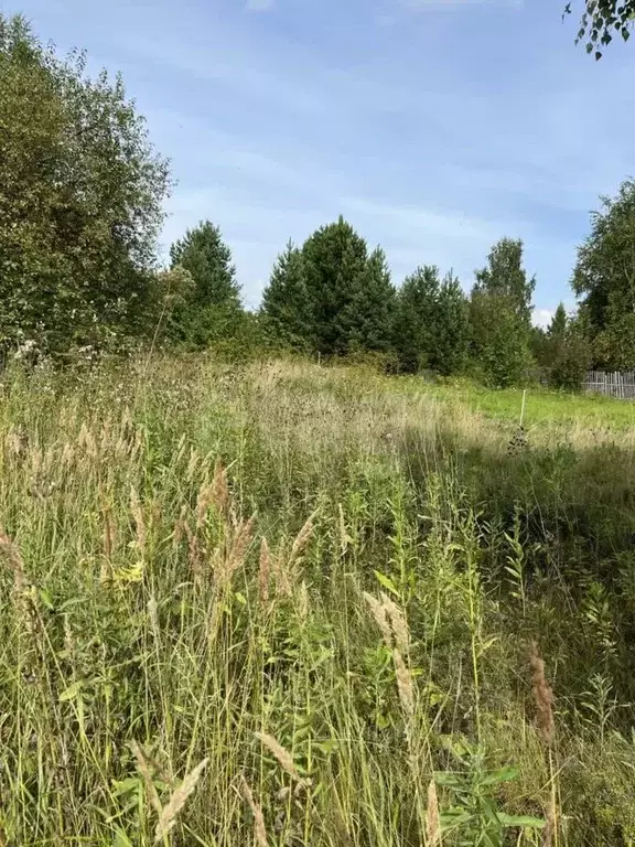 Участок в Свердловская область, Нижний Тагил с. Ольховка,  (10.25 ... - Фото 1