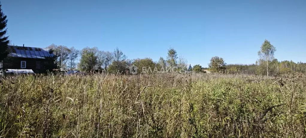 Участок в Владимирская область, Собинский муниципальный округ, д. ... - Фото 2