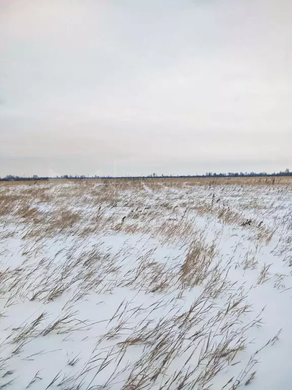 Участок, 7.1 сот., сельхоз (снт или днп) - Фото 0