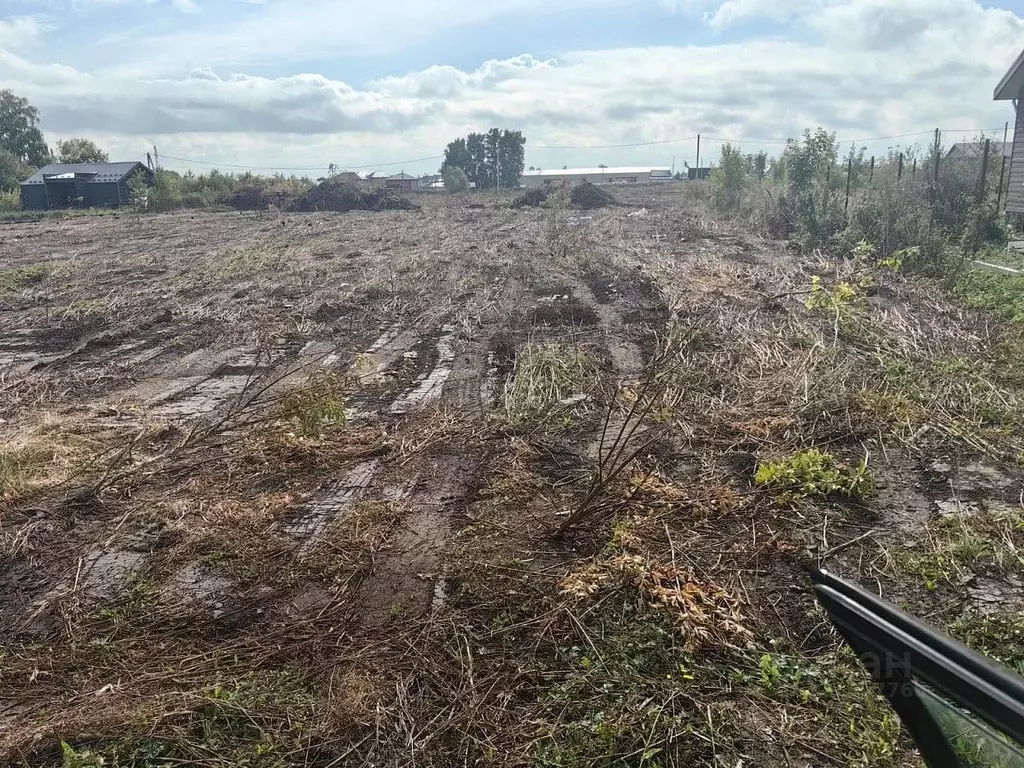 Участок в Новосибирская область, Новосибирский район, Морской ... - Фото 1