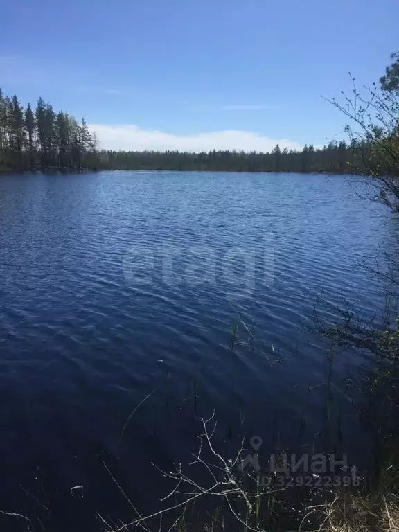Участок в Ленинградская область, Выборгский район, Красносельское ... - Фото 1