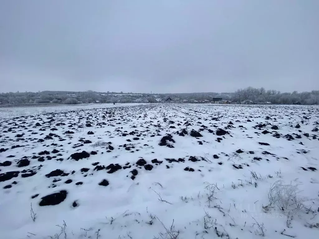 Участок в Воронежская область, Семилукский район, с. Медвежье Заречная ... - Фото 1