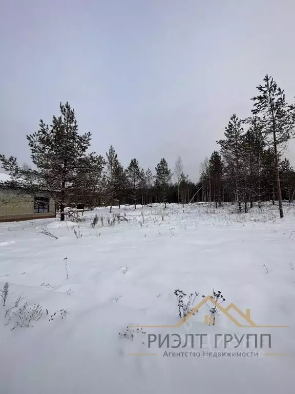 Участок в Татарстан, Высокогорский район, Семиозерское с/пос, Паевые ... - Фото 1