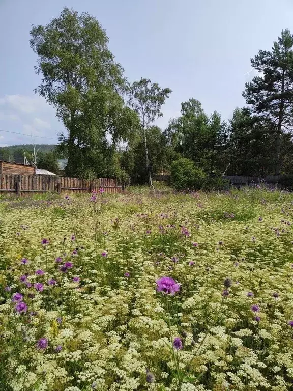 Участок в Бурятия, Баргузинский район, с. Максимиха  (30.0 сот.) - Фото 1