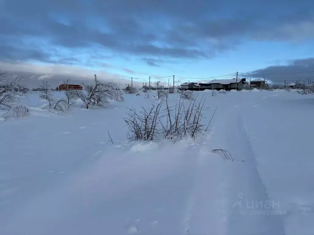 Участок в Саратовская область, пос. Рейник, Лазурный мкр  (10.0 сот.) - Фото 1