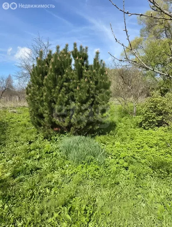Участок в Ярославская область, Рыбинский муниципальный округ, деревня ... - Фото 1