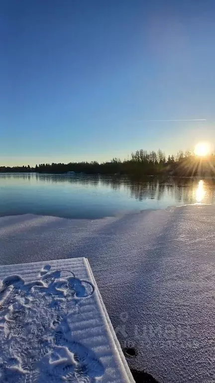 Участок в Ленинградская область, Всеволожский район, Лесколовское ... - Фото 1