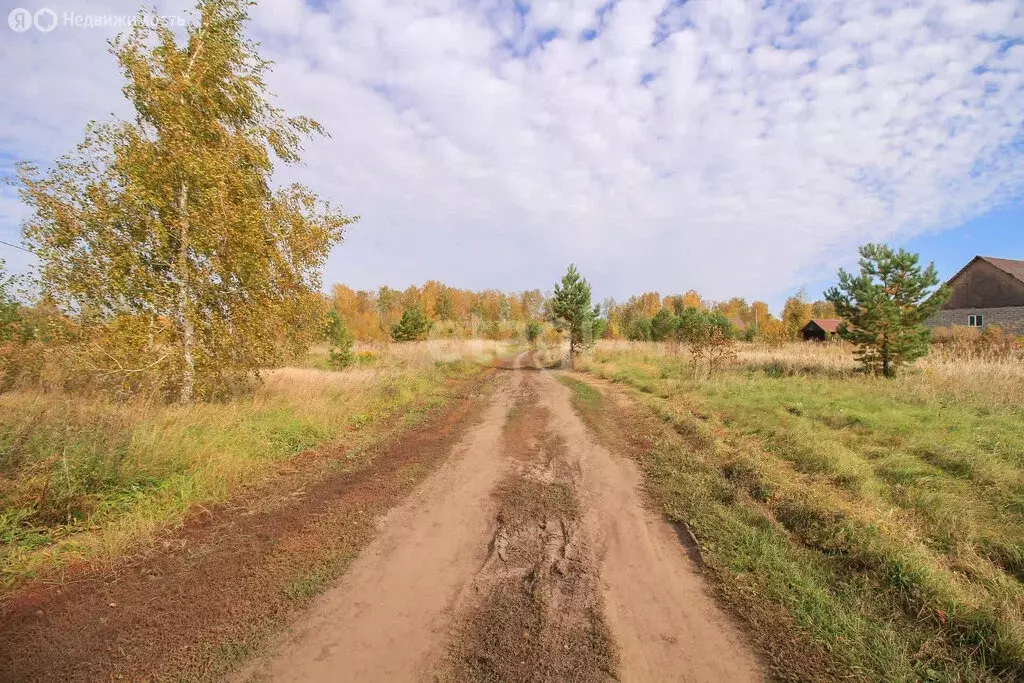 Участок в Первомайский район, посёлок Новый, улица Есенина, 6 (12 м) - Фото 0