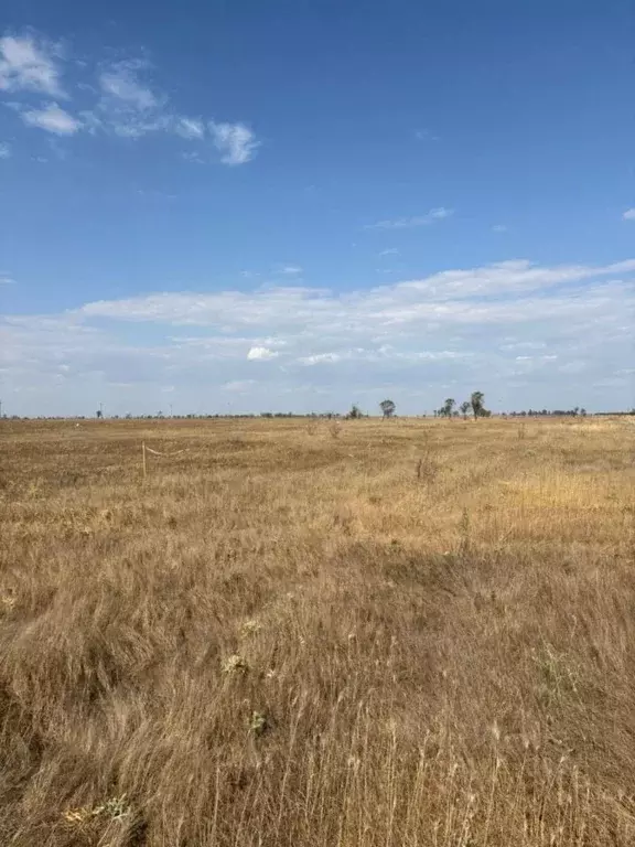 Участок в Крым, Симферопольский район, Николаевка пгт ул. Советская ... - Фото 0