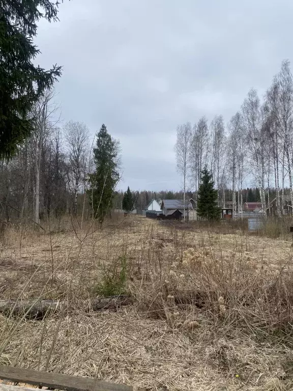 Участок в Московская область, Талдомский городской округ, д. Маклаково ... - Фото 1