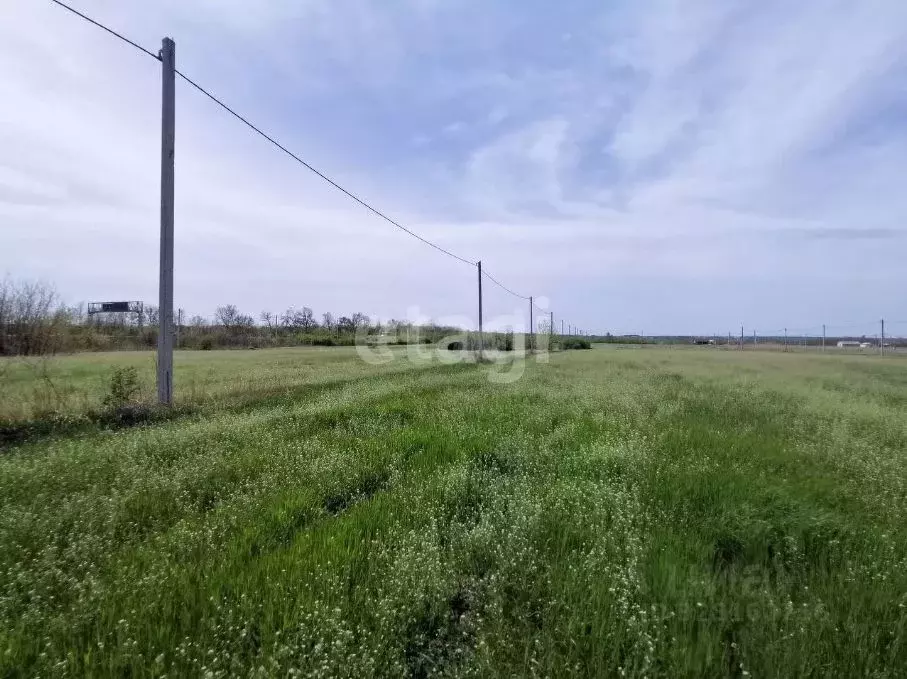 Участок в Ростовская область, Аксайский район, Щепкинское с/пос, пос. ... - Фото 1