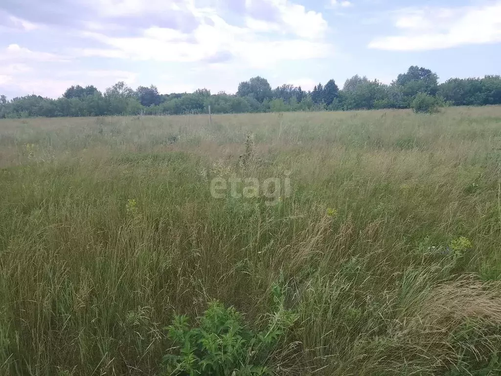 Участок в Башкортостан, Стерлитамакский район, Казадаевский сельсовет, ... - Фото 1
