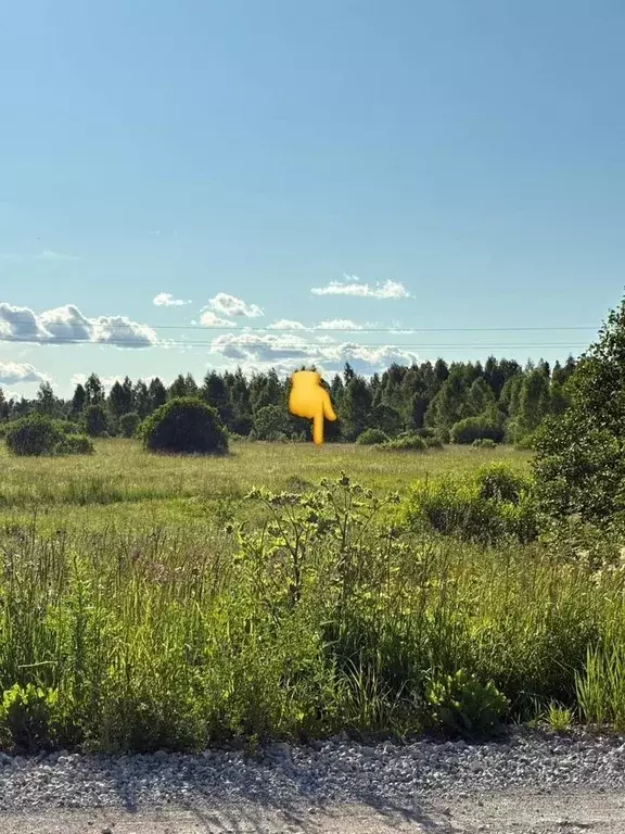 Участок в Московская область, Можайский муниципальный округ, Лесной кп ... - Фото 1