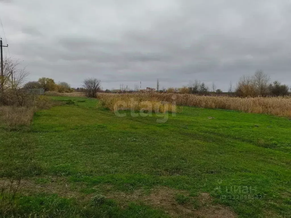 Участок в Ростовская область, Багаевский район, Манычская ст-ца ... - Фото 1