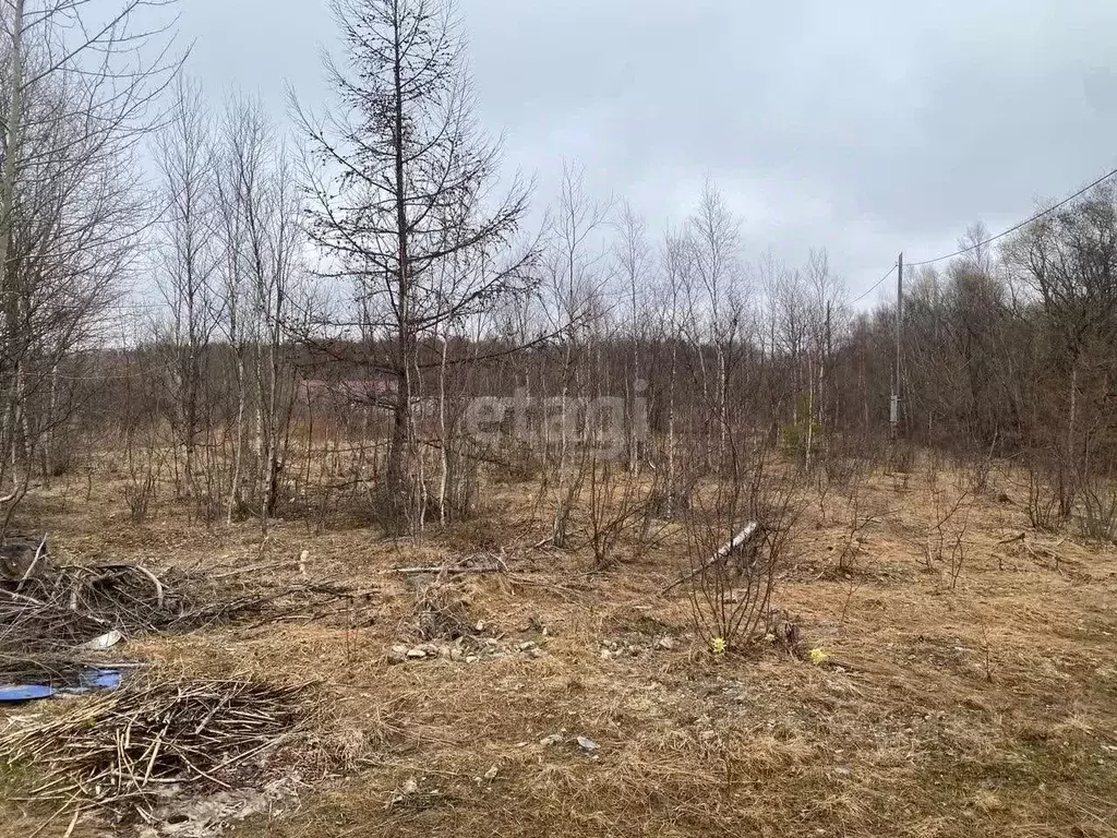 Участок в Сахалинская область, Южно-Сахалинск Рябинка-2 СДТ,  (10.8 ... - Фото 0