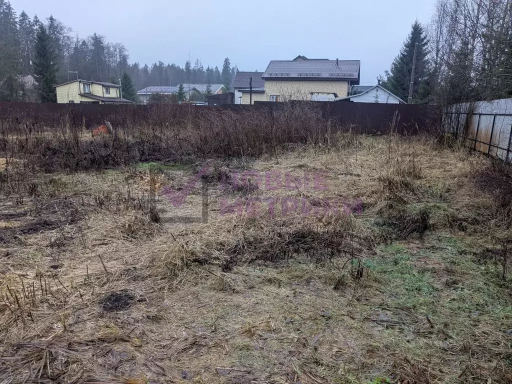 Участок в Ленинградская область, Сертолово Всеволожский район, Ягодка ... - Фото 1