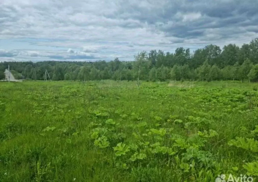 Участок в Московская область, Наро-Фоминский городской округ, д. ... - Фото 0