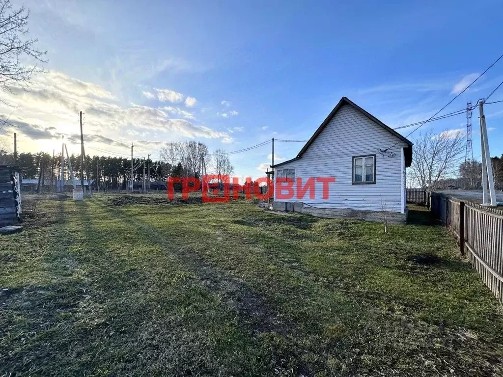 Участок в Новосибирская область, Тогучинский район, с. Усть-Каменка ... - Фото 2