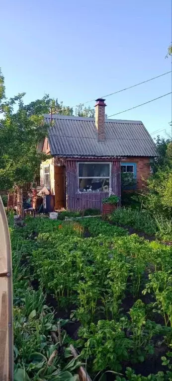 Дом в Тюменская область, Тюмень Ямал СНТ, ул. Ямальская, 55 (20 м) - Фото 1